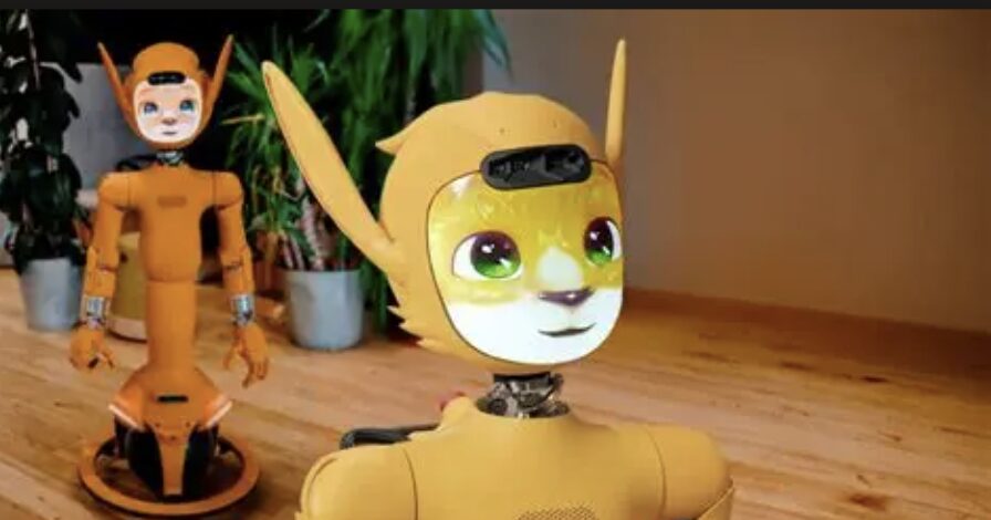 Image des robots Mirokaï